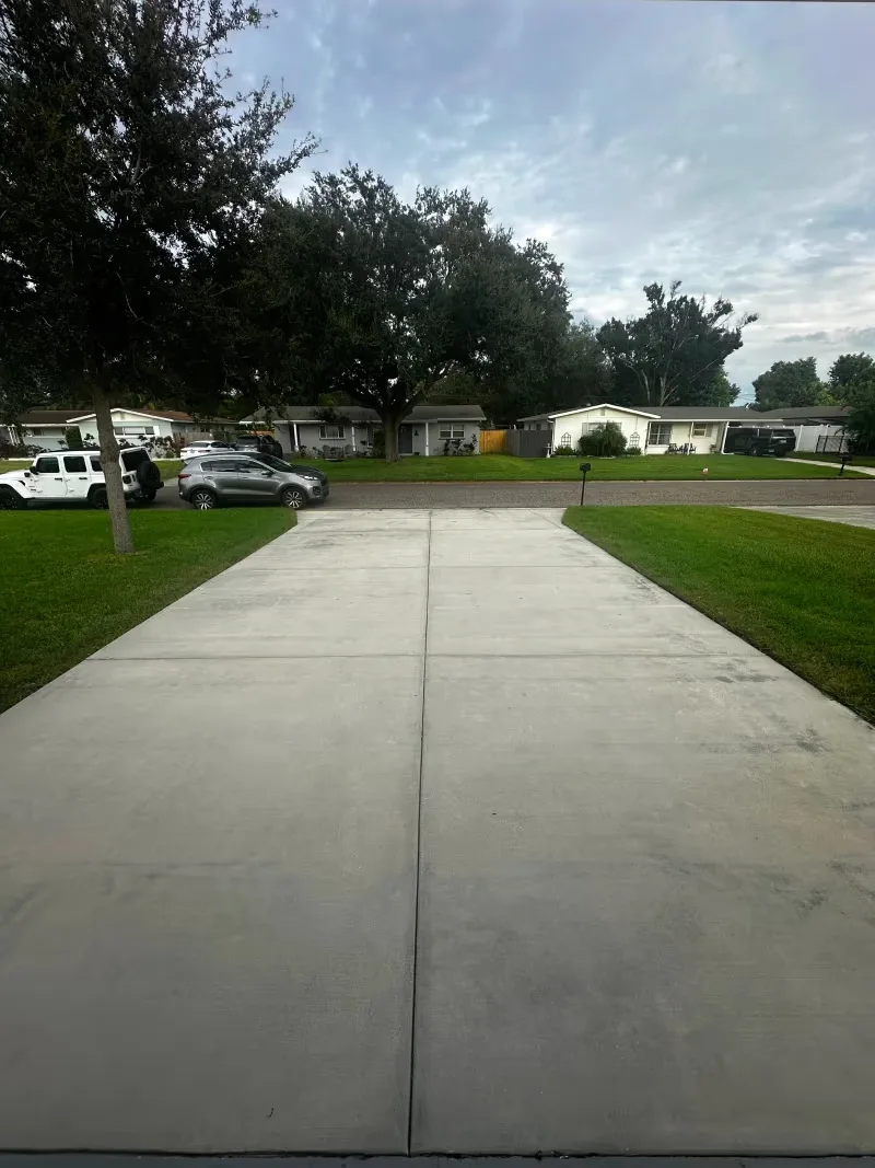 Clean concrete driveway on a suburban Wesley Chapel street