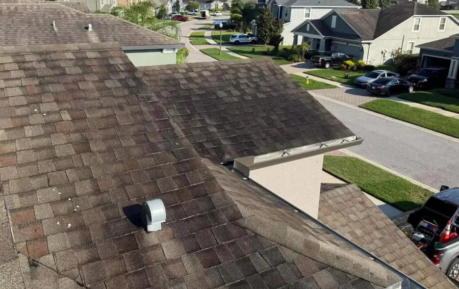 Dark algae streaks running down an asphalt shingle roof in a Wesley Chapel cul-de-sac