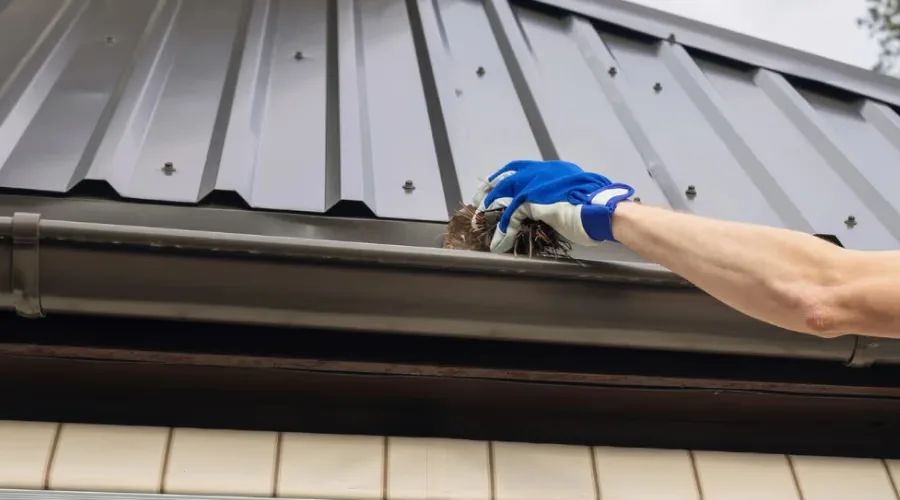 Gloved hand removing debris from a metal gutter